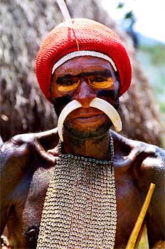 Detalle de hueso en nariz, Irian Jaya, Indonesia