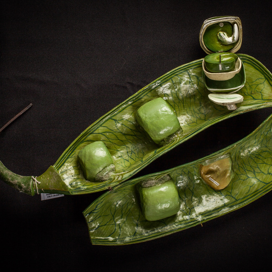 IES_ISABELLACATOLICA_BIOLOGIA_177