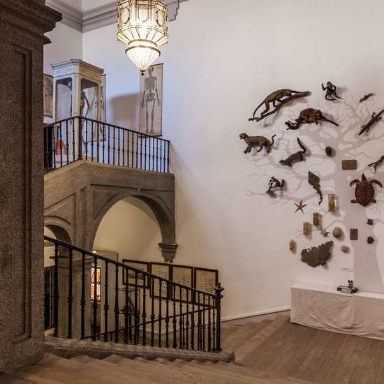 IES_SANISIDRO_MUSEO_003