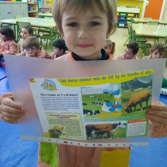 Terminamos nuestro proyecto 20