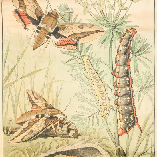 IES_RAMIRODEMAEZTU_BIOLOGIA_006