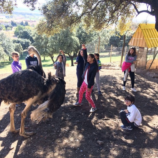 Mohernando 2017_4 22