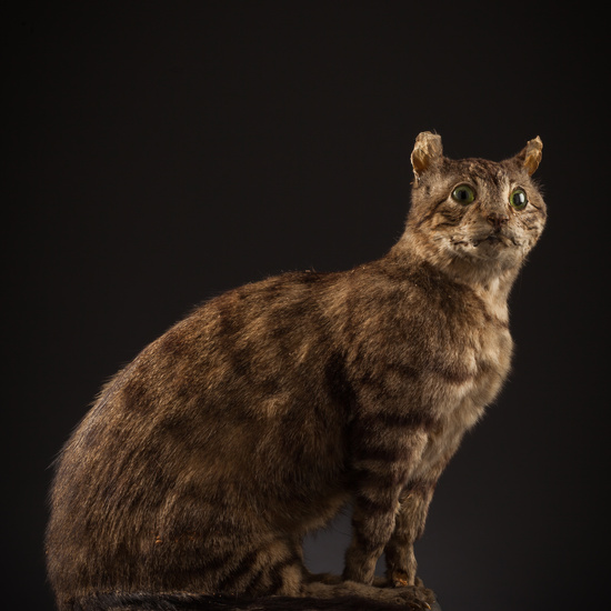 IES_SANISIDRO_BIOLOGIA_142