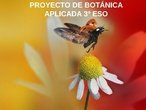 Proyecto Botánica Aplicada