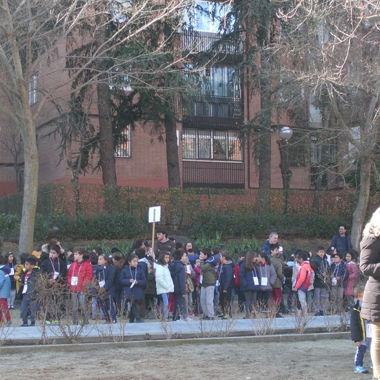 HOSTOS Y LEPANTO JUSTOS POR LA PAZ 8