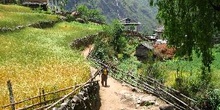 Sendero con casas en la región de Namche Bazaar