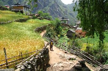Sendero con casas en la región de Namche Bazaar