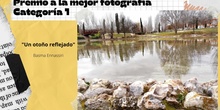 Fallo Concurso Fotografía Matemática