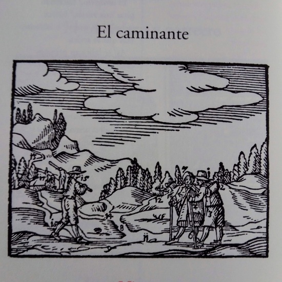 Viator caminante