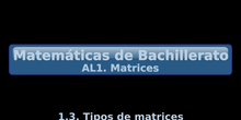 AL1. 1.3 Tipos de matrices