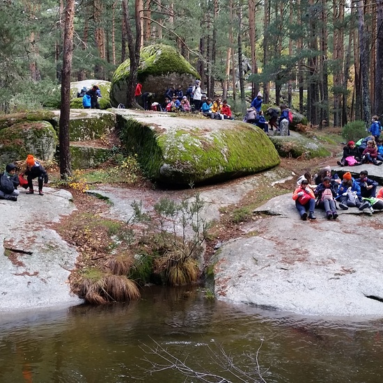MANZANARES EL REAL 21