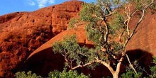 Montes Olgas, Parque Nacional Uluru, Australia