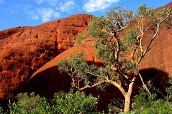 Montes Olgas, Parque Nacional Uluru, Australia