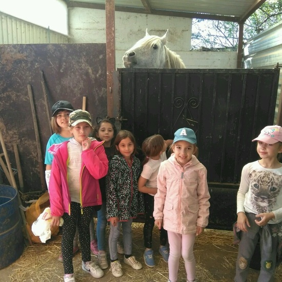 SALIDA A NUESTRO ENTORNO 38