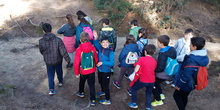 VISITA A GREFA. 5º CURSO 12