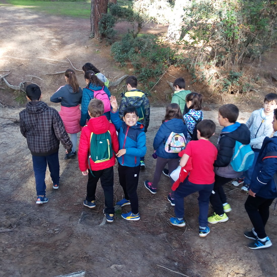 VISITA A GREFA. 5º CURSO 12