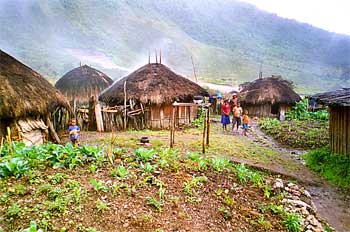 Entrada a poblado. Chozas de tres postes, Irian Jaya, Indonesia