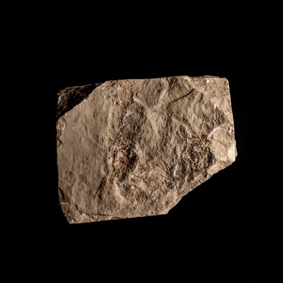 IES_CERVANTES_GEOLOGIA_018