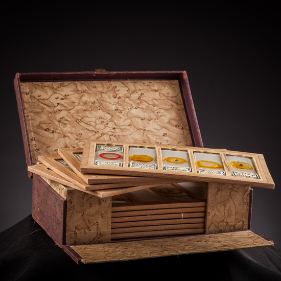 IES_ISABELLACATOLICA_BIOLOGIA_193