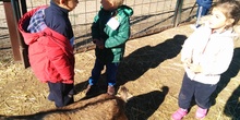 2016_inf 4 años a visita la granja 33