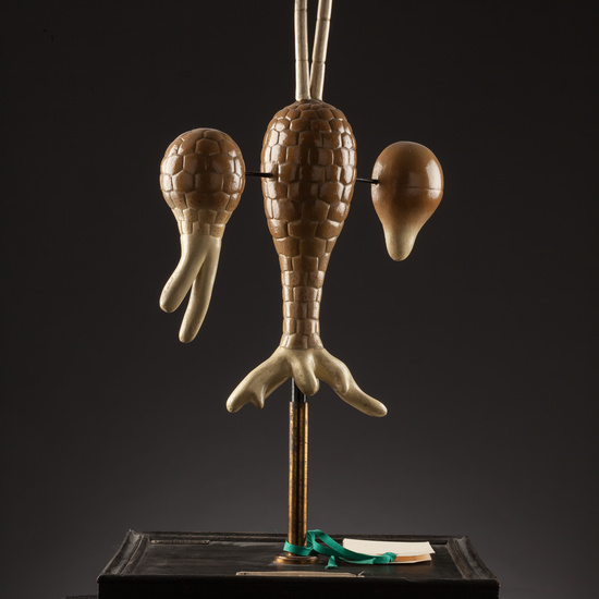 IES_SANISIDRO_BIOLOGIA_156