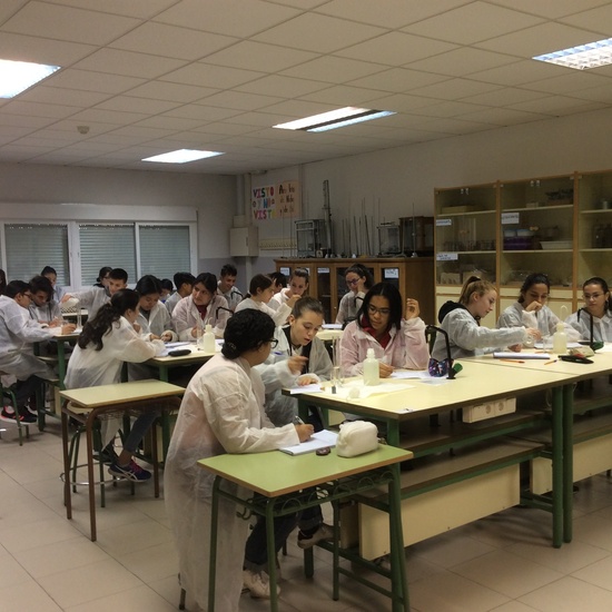 Fotos de Ampliación de Física y Química 6