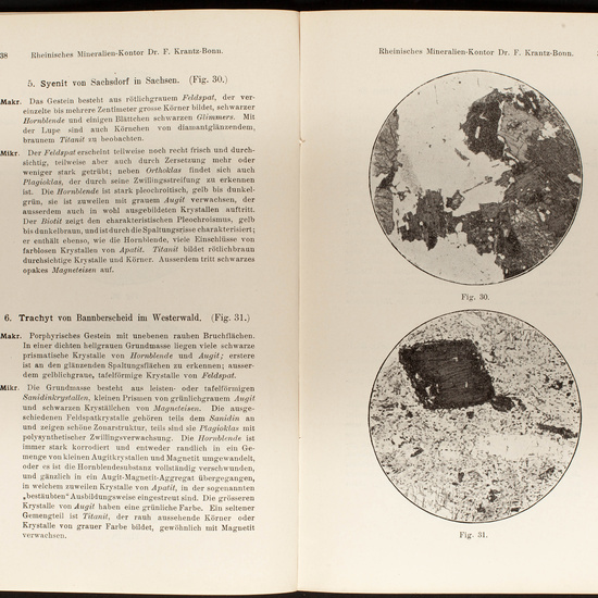 IES_CARDENALCISNEROS_CATALOGOS_029