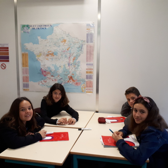 Viaje Toulouse 2018 21