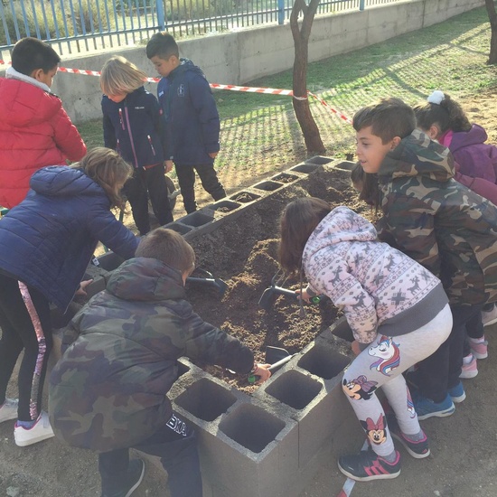 2ºAB Proyecto Huerto Escolar 1