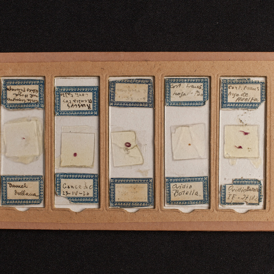 IES_ISABELLACATOLICA_BIOLOGIA_201