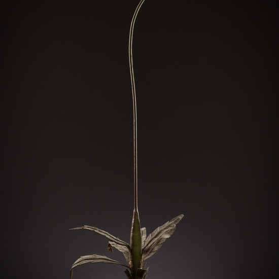 IES_SANISIDRO_BIOLOGIA_092