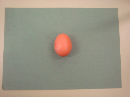 El huevo antes de ser sumergido en vinagre.