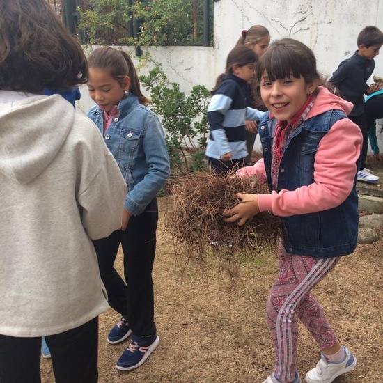2018_11_CUARTO DISEÑANDO EL JARDIN DE LOS SENTIDOS_CEIP FDLR_LAS ROZAS 13