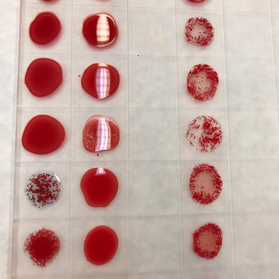 VISITA CENTRO DE TRANSFUSIÓN DE SANGRE 9