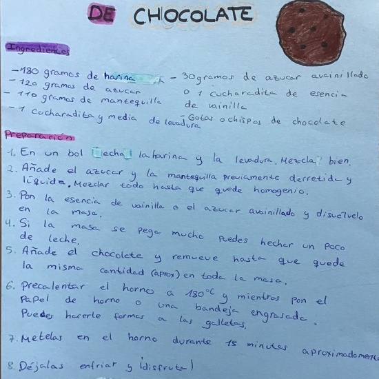 33galletas con pepitas de chocolate