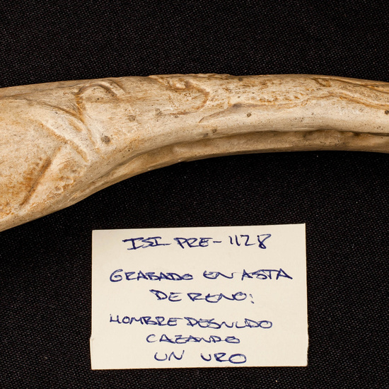 IES_SANISIDRO_MUSEO_Paleologia_027