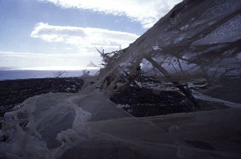 Invernaderos rotos, Canarias