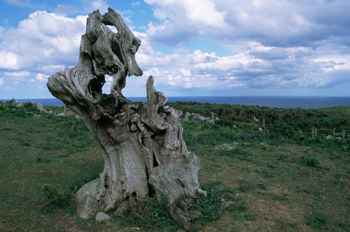 Estaca de Bares, Mañón, La Coruña, Galicia