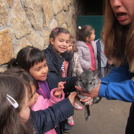 Granja Escuela Educación Infantil Curso 2017-18 35