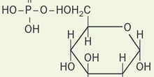 Alfa-D-Glucopiranosa-6-fosfato