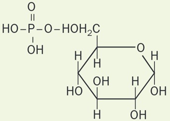 Alfa-D-Glucopiranosa-6-fosfato