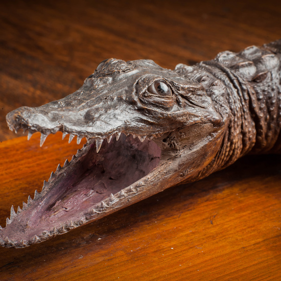 IES_CARDENALCISNEROS_CIENCIASNATURALES_314