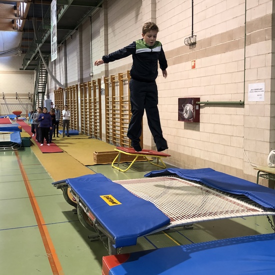 Gimnasia de trampolín 2 7