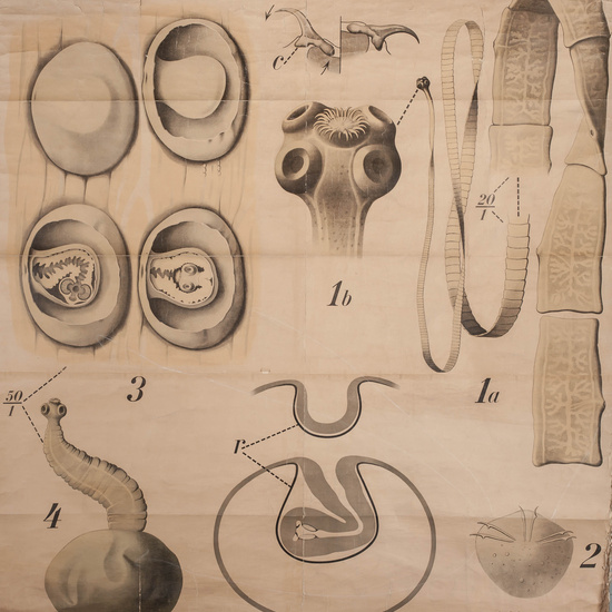 IES_LOPEDEVEGA_CIENCIASNATURALES_057
