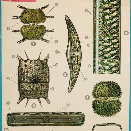 IES_LOPEDEVEGA_CIENCIASNATURALES_058