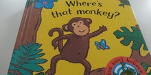 Where's that monkey? - Storytelling