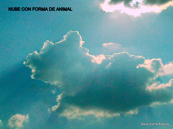 Nube con forma de animal