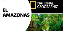 Infografía El Amazonas