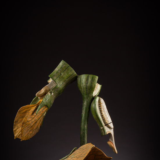 IES_ISABELLACATOLICA_BIOLOGIA_058