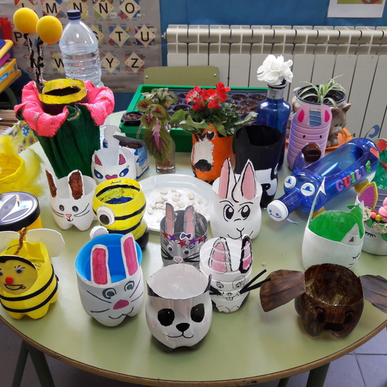 We grow plants in the classroom 4